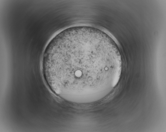 X0000111151101200908111129