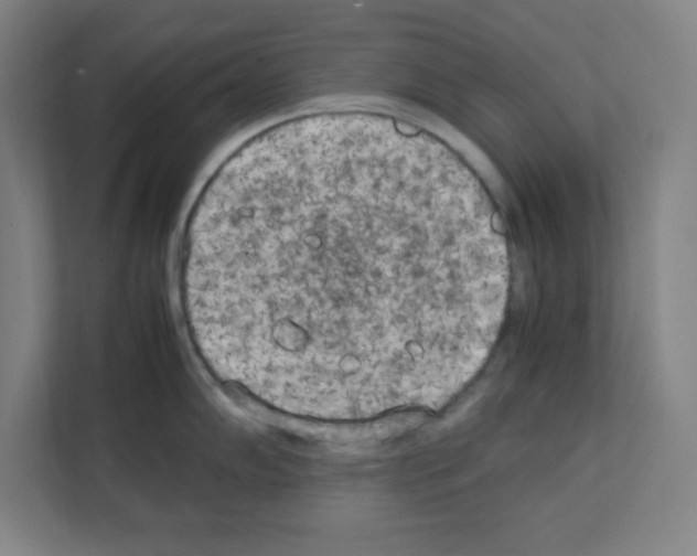 X0000111151102200908111129