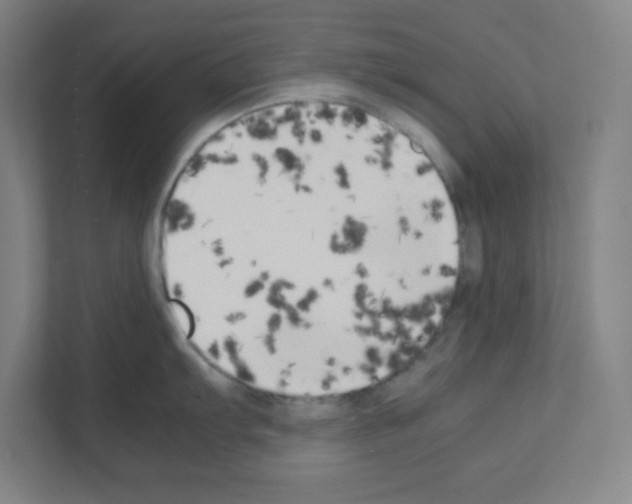 X0000111151103200908111129