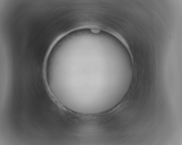 X0000111151104200908111129