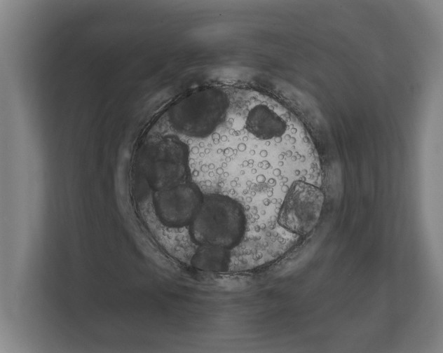 X0000111151105200908111128