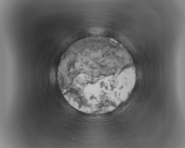 X0000111151106200908111128