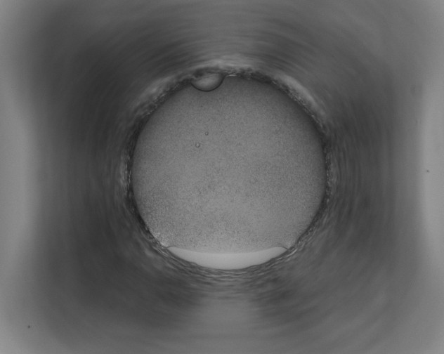 X0000111151110200908111128