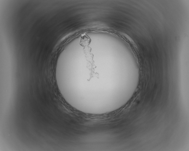 X0000111151112200908111128