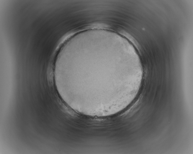 X0000111151115200908111128