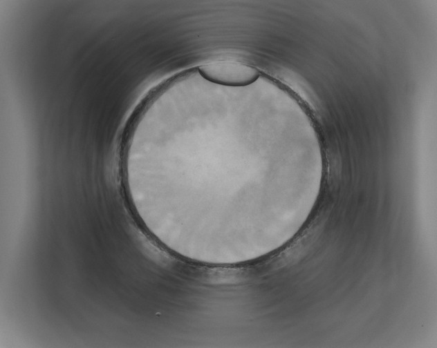 X0000111151116200908111128