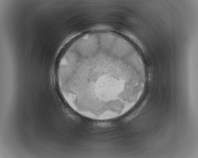 X0000111151117200908111128