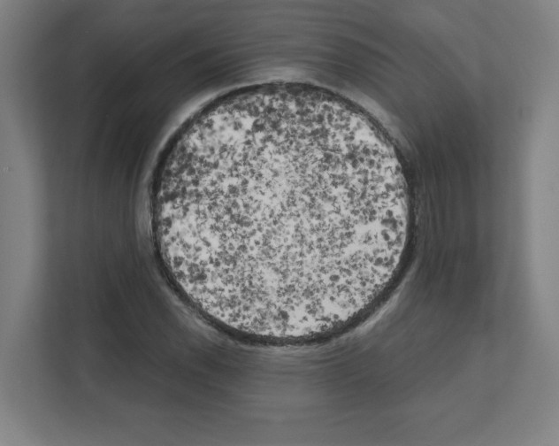 X0000111151118200908111128