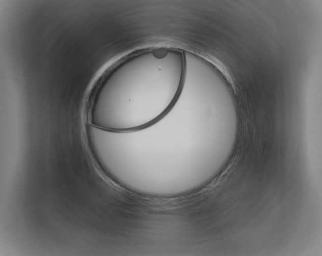 X0000111151120200908111128