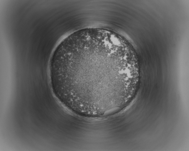 X0000111151122200908111128