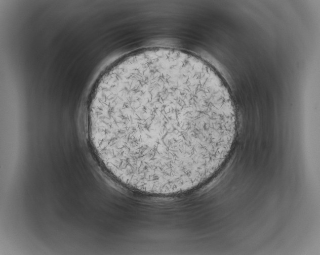 X0000111151123200908111128