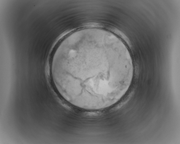 X0000111151125200908111128