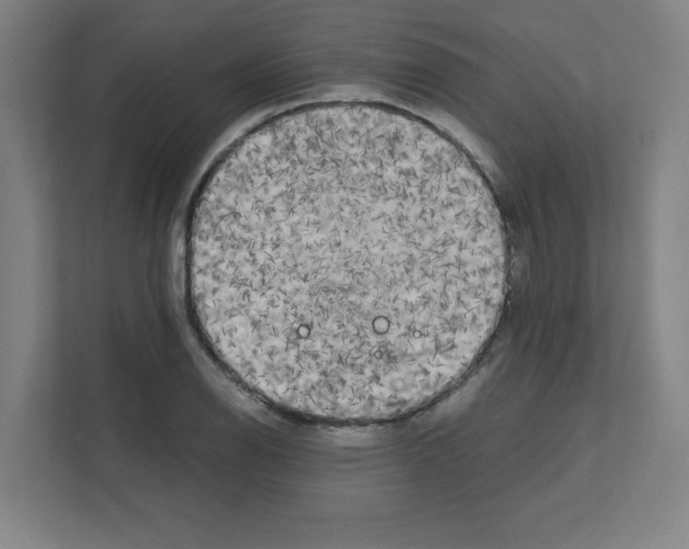 X0000111151126200908111128