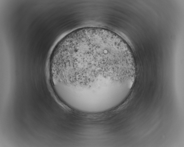 X0000111151128200908111128