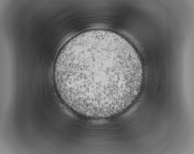 X0000111151129200908111128