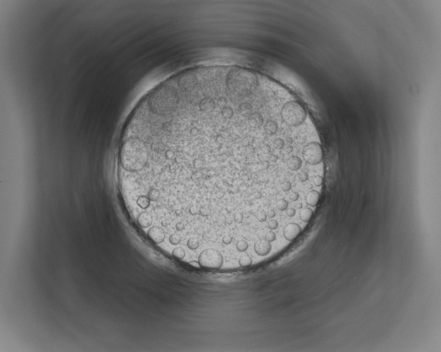 X0000111151130200908111128