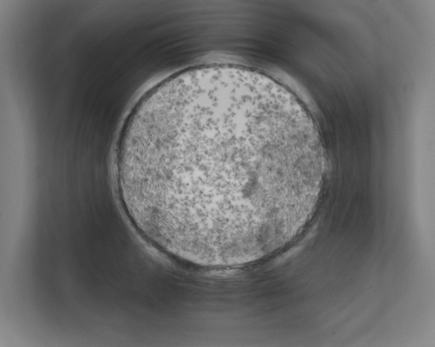 X0000111151133200908111128