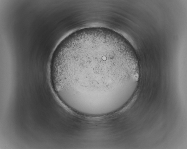 X0000111151134200908111128