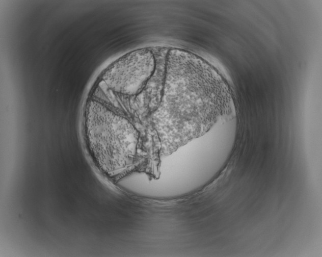 X0000111151136200908111128