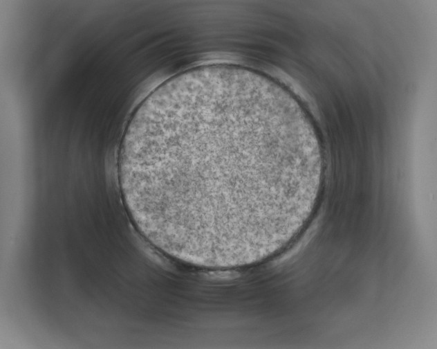 X0000111151137200908111128