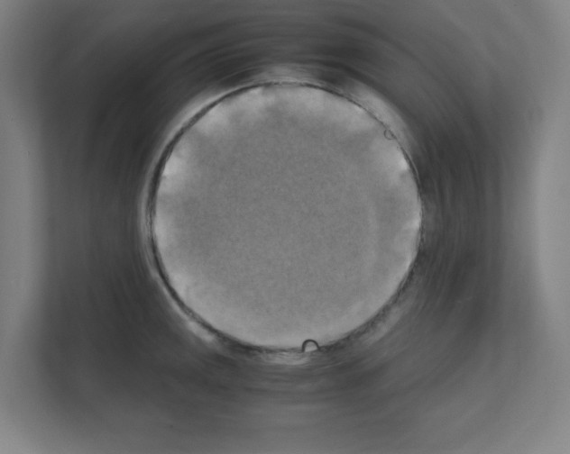 X0000111151141200908111129