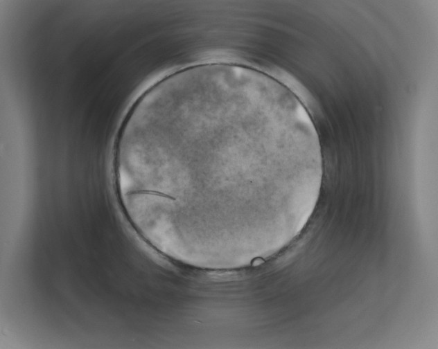 X0000111151142200908111129