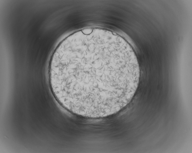 X0000111151143200908111129