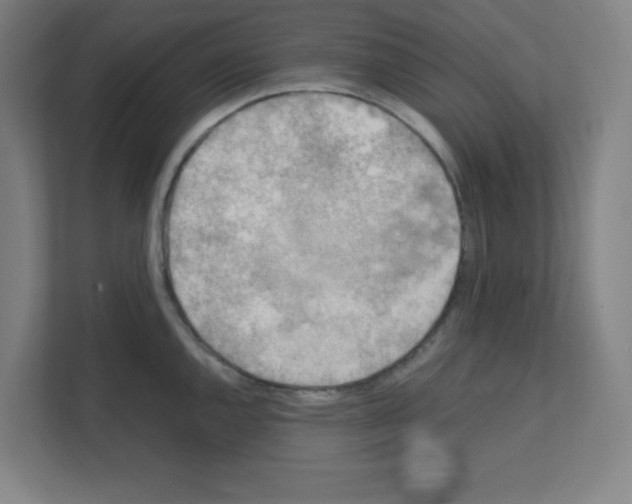 X0000111151144200908111129