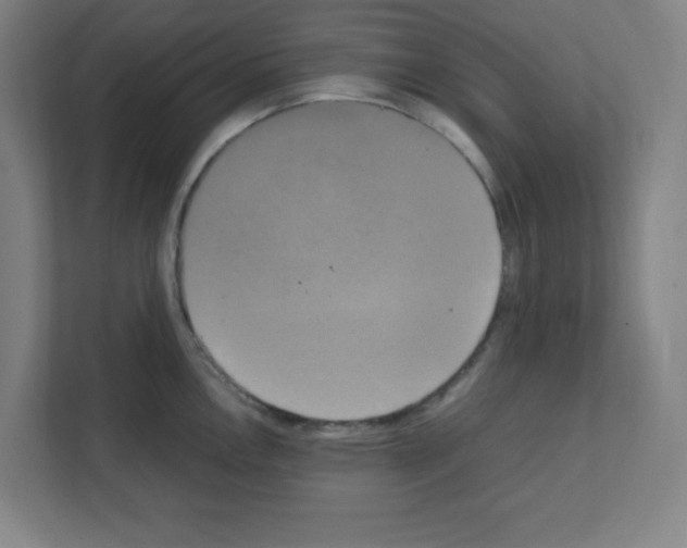 X0000111151146200908111129