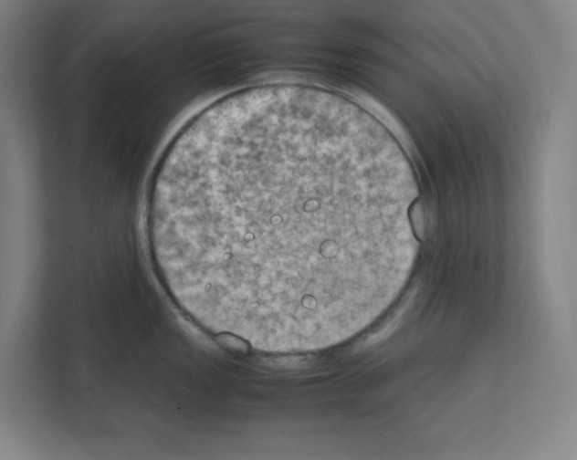 X0000111151149200908111129