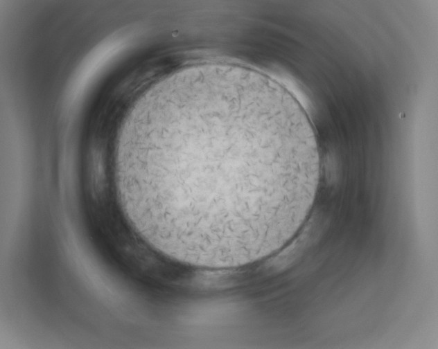 X0000111151150200908111129