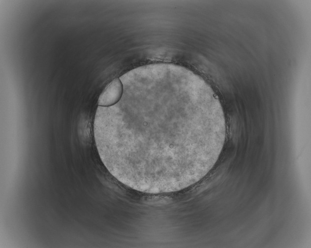 X0000111151154200908111128