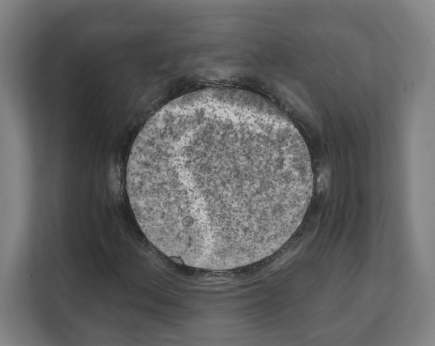 X0000111151156200908111128