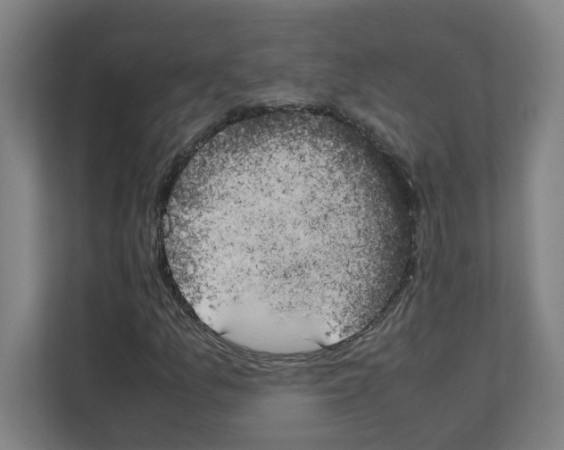 X0000111151157200908111128