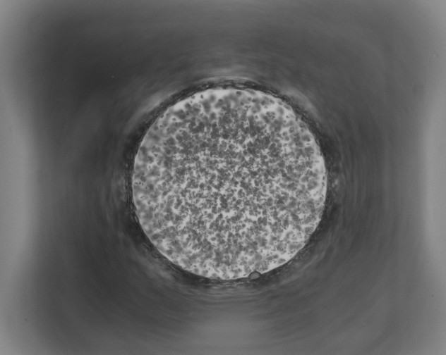 X0000111151159200908111128