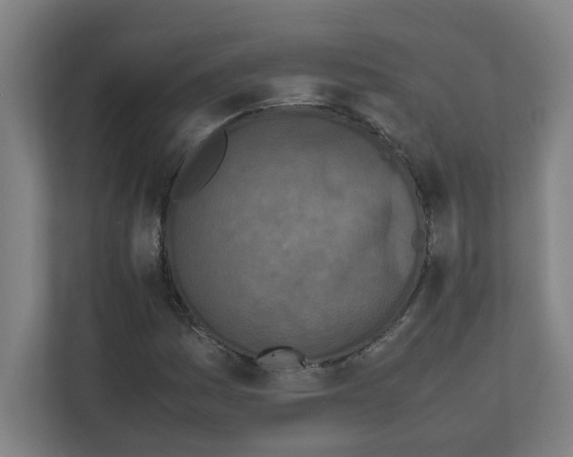 X0000111151161200908111128