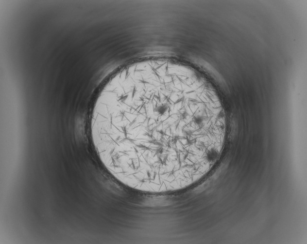 X0000111151162200908111128