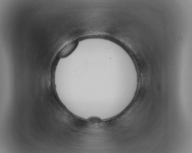 X0000111151165200908111128