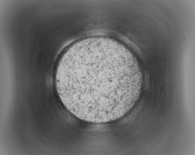 X0000111151166200908111128