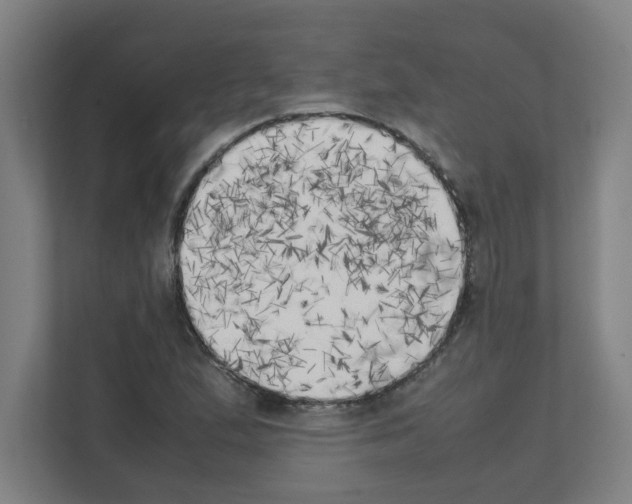 X0000111151167200908111128