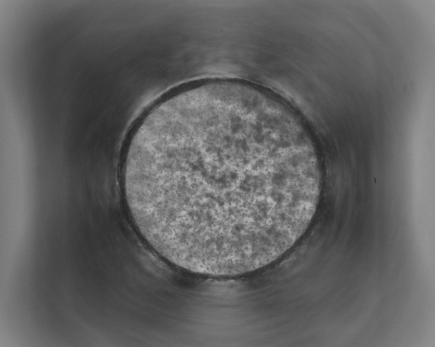 X0000111151168200908111128