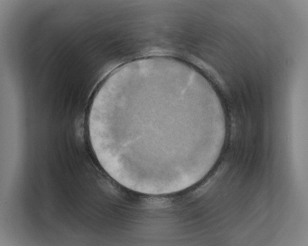 X0000111151170200908111128