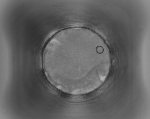 X0000111151171200908111128