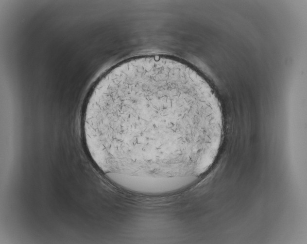 X0000111151173200908111128