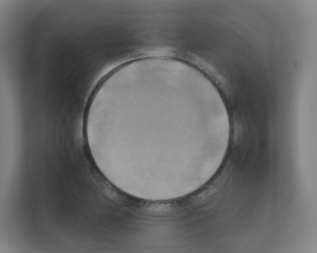 X0000111151174200908111128