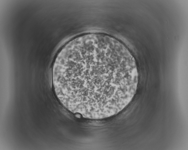 X0000111151175200908111128