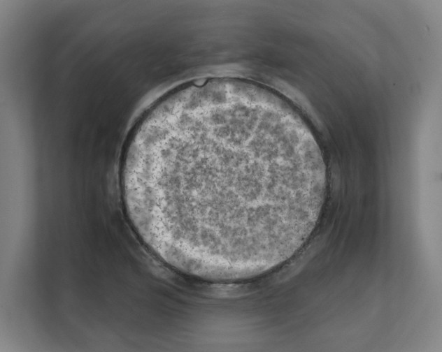 X0000111151176200908111128