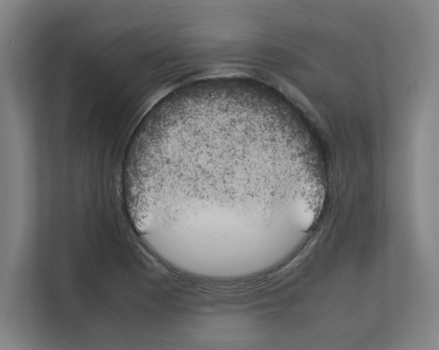 X0000111151177200908111128