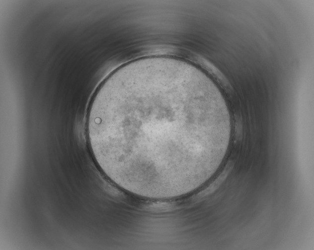 X0000111151178200908111128