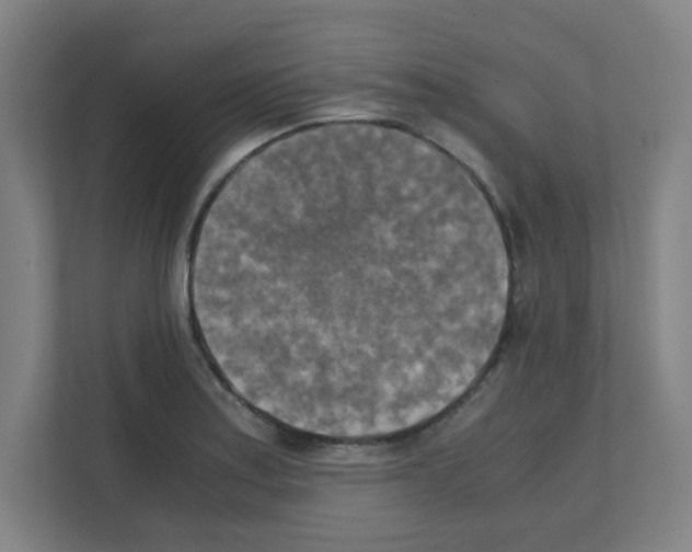 X0000111151179200908111128